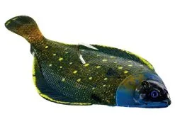 Westin Przynęty Morskie Flat Mat Jig