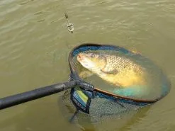 PRESTON INNOVATIONS Koszyki Ics Inline Dura Flat Method Feeder - Mini -Oferty Method Feeder Sklep koszyki ics inline dura flat method feeder mini cd