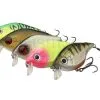 DAM MADCAT Woblery Sumowe MADCAT Tight-S Shallow Hard Lures -Oferty Method Feeder Sklep madcat tight s shallow hard lures 4j
