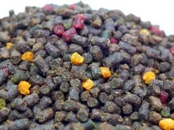 Osmo Innovation Baits Pro Pellet Dark -Oferty Method Feeder Sklep pro pellet dark vu