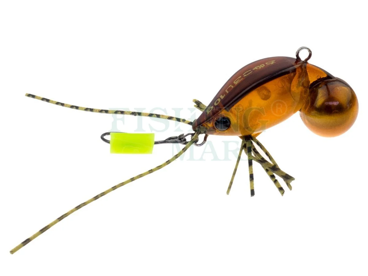 Jackson Chinu Koroli 4 Jackson Chinu Koroli - obrazek 2