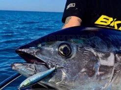 Little Jack Przynęty Forma Heads 105 9 Little Jack Przynęty Forma Heads 105 -Oferty Method Feeder Sklep przynety forma heads 105 th