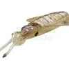 Savage Gear Przynęty Morskie Swim Squid LRF -Oferty Method Feeder Sklep przynety morskie swim squid lrf od