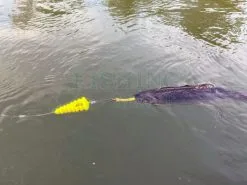 BLACK CAT Spławiki Podwodne Tree U-Float -Oferty Method Feeder Sklep splawiki podwodne tree u float x1