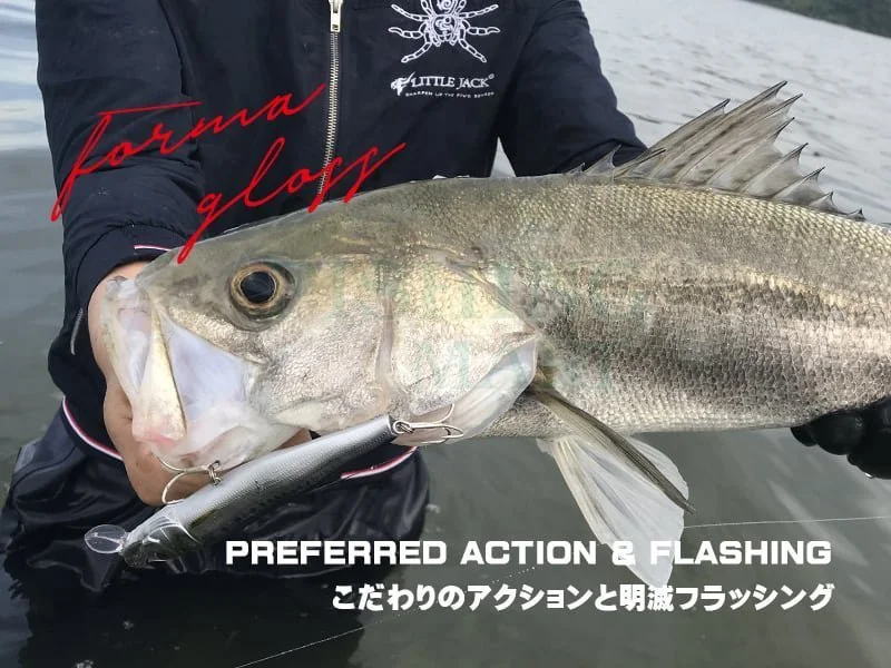 Little Jack Woblery Forma Gloss 125 4 Little Jack Woblery Forma Gloss 125 - obrazek 2