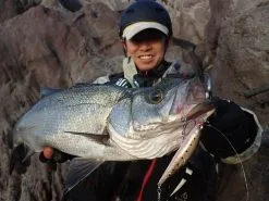 Megabass Woblery Genma 85S -Oferty Method Feeder Sklep woblery genma 85s iw