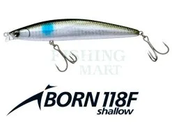 Ima Woblery IBORN 118F Shallow